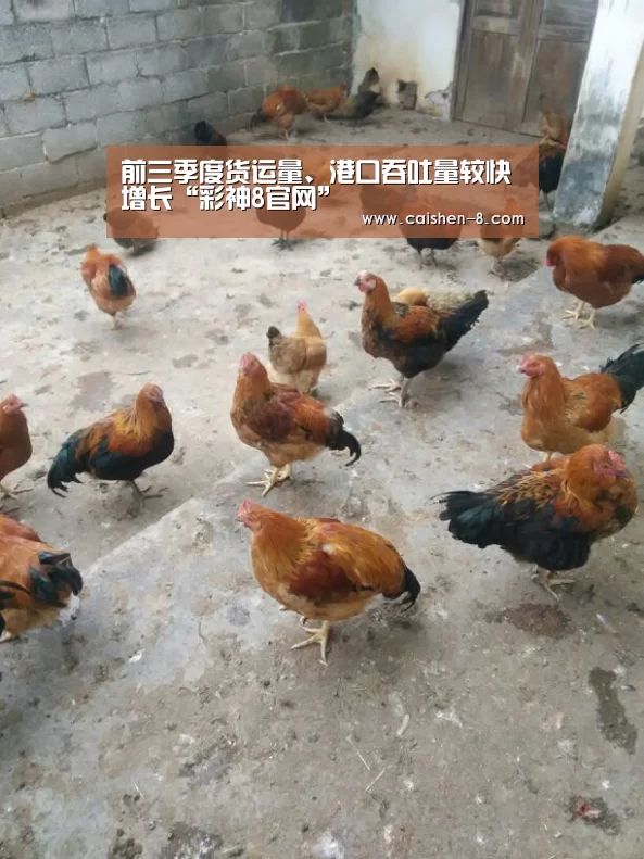 彩神8走势分析
